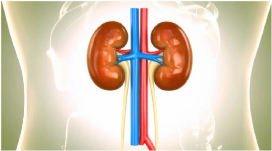 Farmers Exposed To Sun For Long Hours Suffer From Chronic Kidney Failure: Study