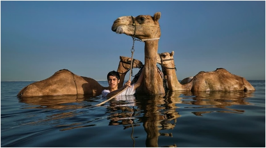 Massive Picture Gallery 