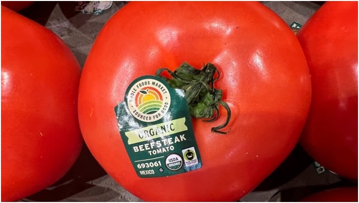On Fresh Mexican Tomatoes In Hopes