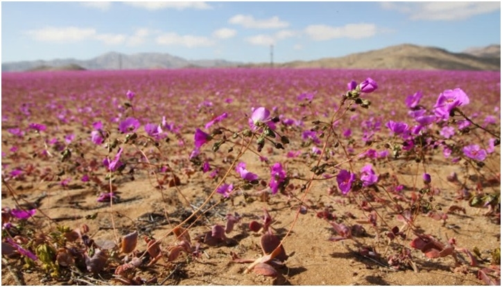 2025 Was Third Hottest Year On Record EU US Experts