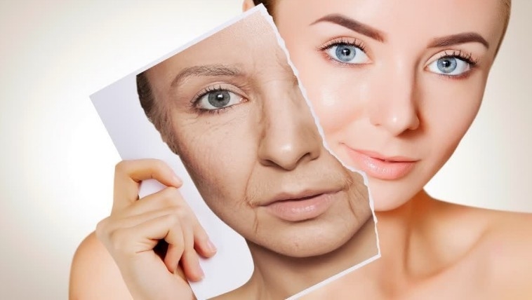 Prevent Ageing