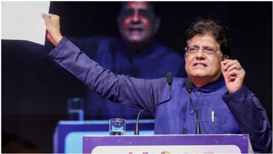 Productive Discussion With USTR Greer on Early Conclusion Of Trade Deal: Goyal