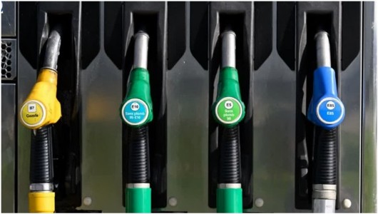 India's Ethanol Vision Needs To Court Sweet Sorghum To Fulfill Its E100 Dream