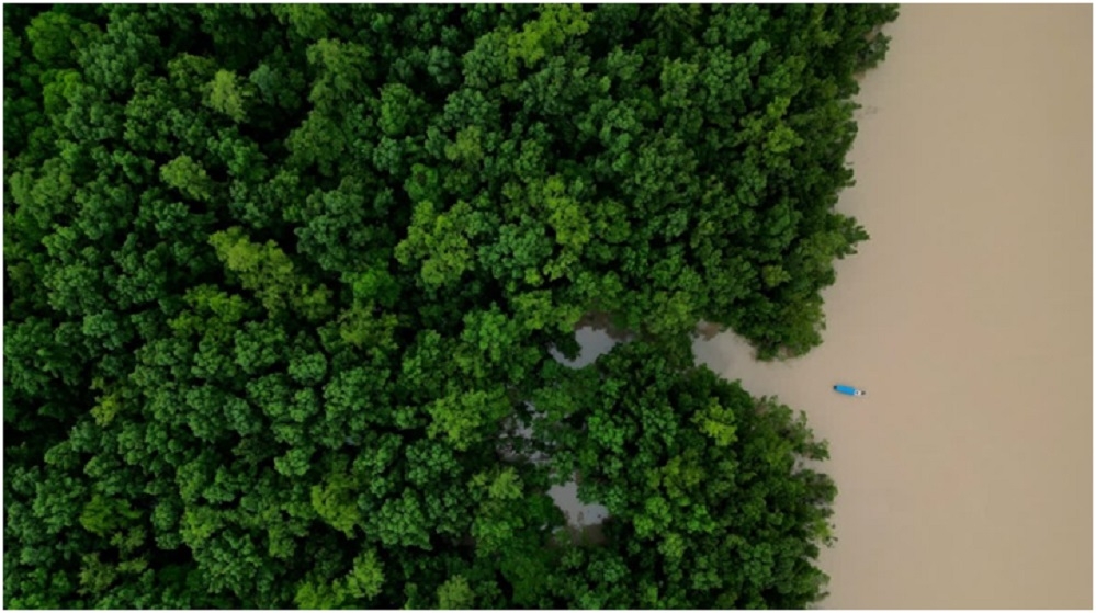 Amazon Ecological Investment