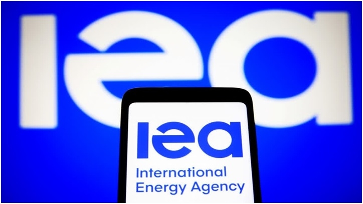 Indias Energy Investment 