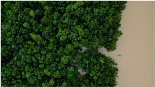 Brazilian Government Commits $617.5m To Amazon Ecological Investment