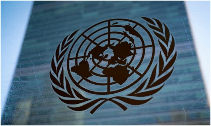 Critical Energy Minerals Should Become Engine For Sustainable Development India at UN