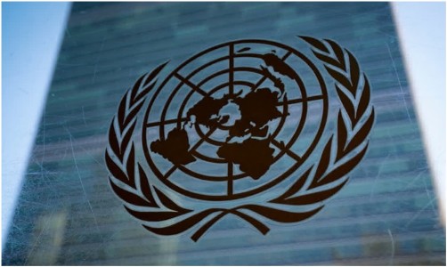 Critical Energy Minerals Should Become Engine For Sustainable Development: India at UN