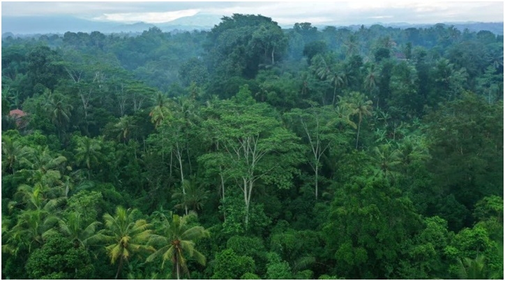Scientists Discover Five New Lichen Fungi Species In Western Ghats
