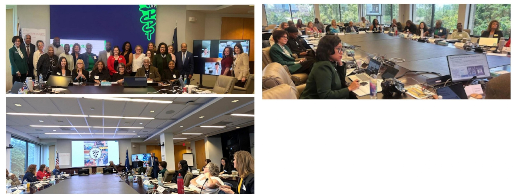 AAVIO Represents Indian-Origin Veterinarians at AVMA Roundtable
