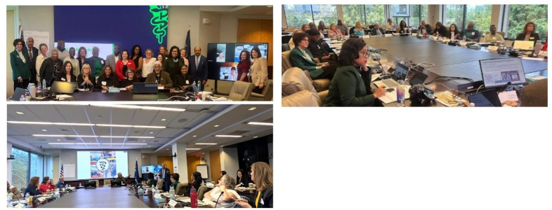 AAVIO Represents Indian-Origin Veterinarians at AVMA Roundtable