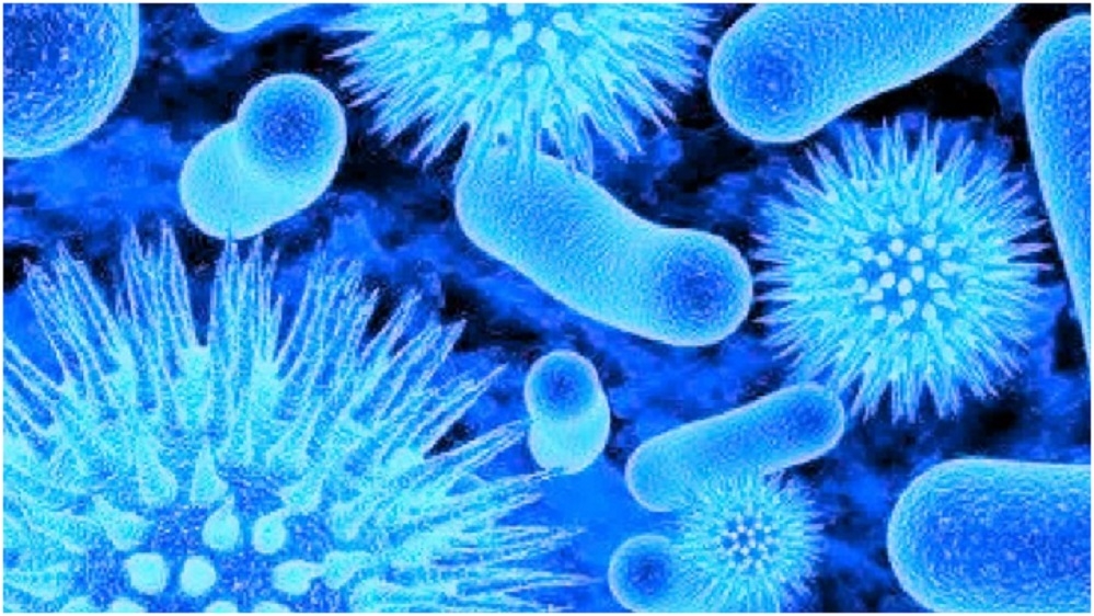 Centre Deploys National Outbreak Team To Intensify