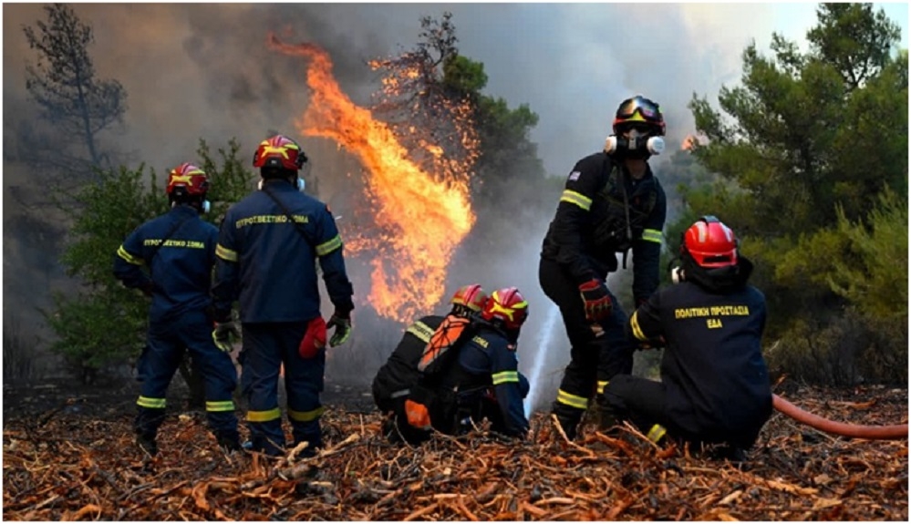 Europes Hot Dry Summer Takes Its Toll With Fires 