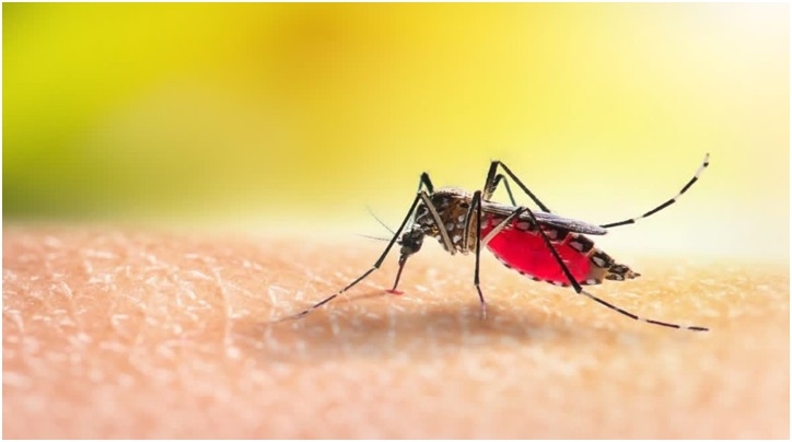 What If A Mosquito Bite Could Train Your Body To Fight Malaria