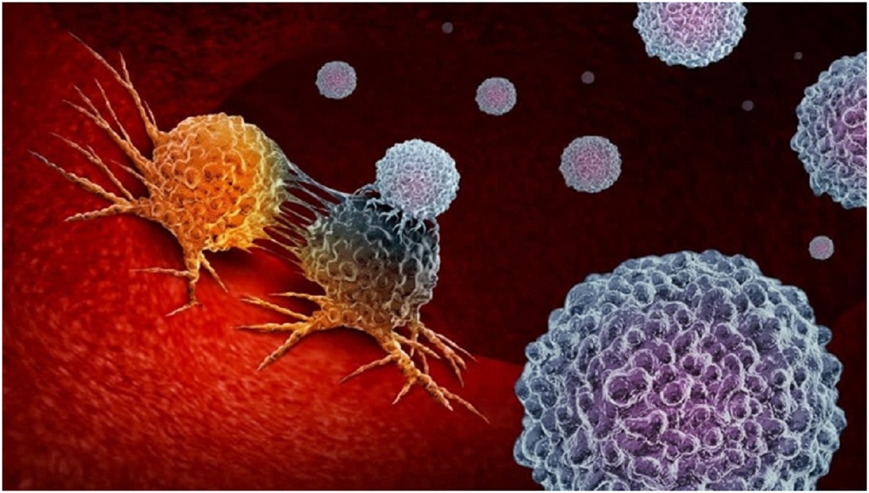 Prostate Cancer Can Be Kept In Check With Early Detection And Timely Treatment Urologist